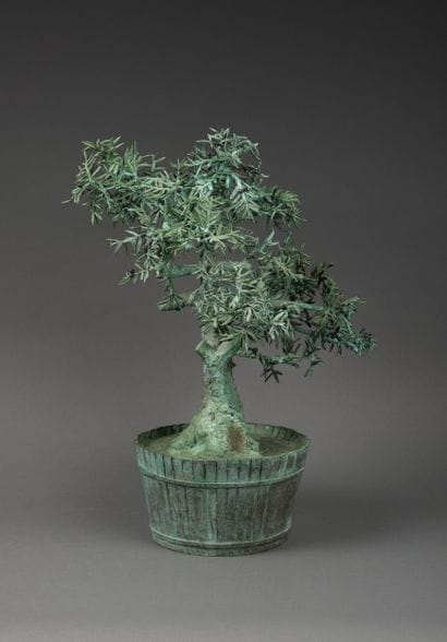 Louis CANE (1943-2024)
Large olive tree,...
