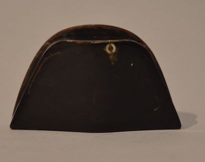 Amusing tortoiseshell BOX in the shape of...