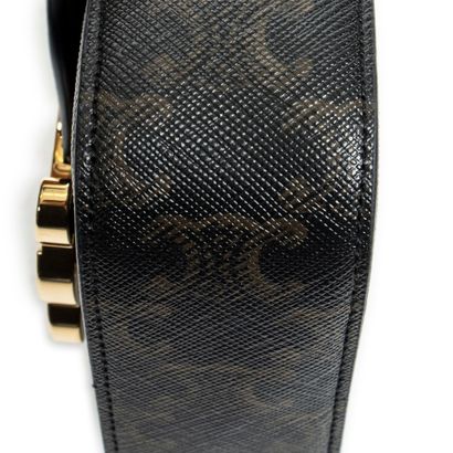 CELINE
Mini Triomphe