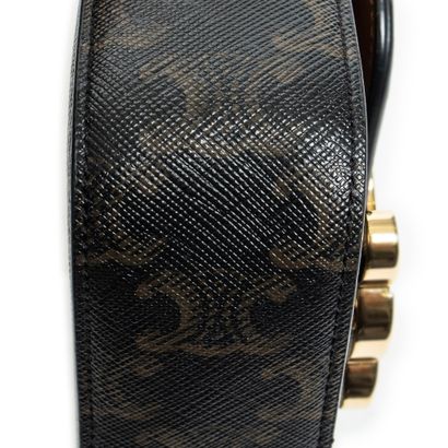 CELINE
Mini Triomphe