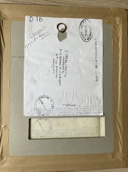 ARAL PHOTO Copyright by Dr L()AIGNER and...