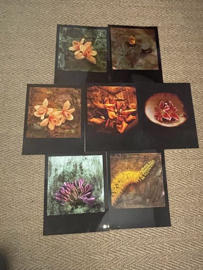 Antonio GIRBES (b. 1952), Set of 7 color...