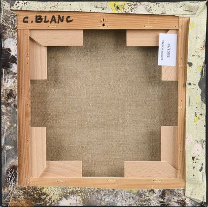 Christophe BLANC (né en 1968) Pérégrinations,...