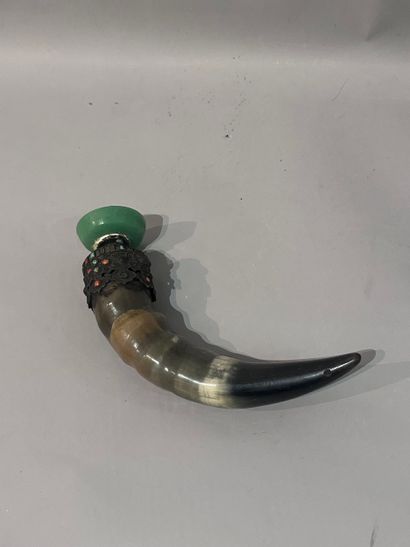 Buffalo horn with metal mounting and small...