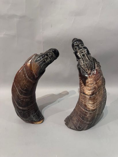 CHINA - Two carved bovid horn SUJETS with...