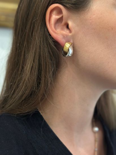 Paire de boucles d'oreilles 
formées par...