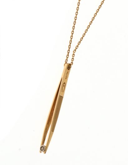 Etonnant pendentif 