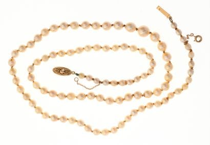 Collier de perles de culture en chute (non...
