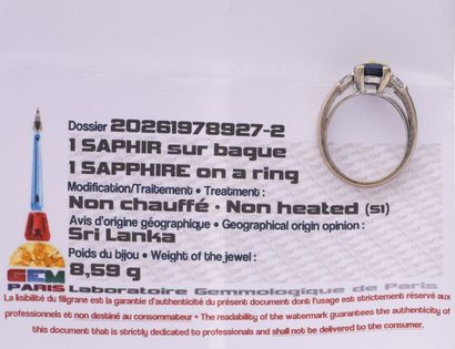 Ring
in 18K white gold (750/°°) set with...