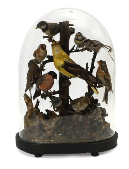 Diorama (recreated environment) comprising...