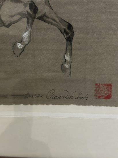 Marine OUSSEDIK (née en 1967)
Picador, 2004
technique...