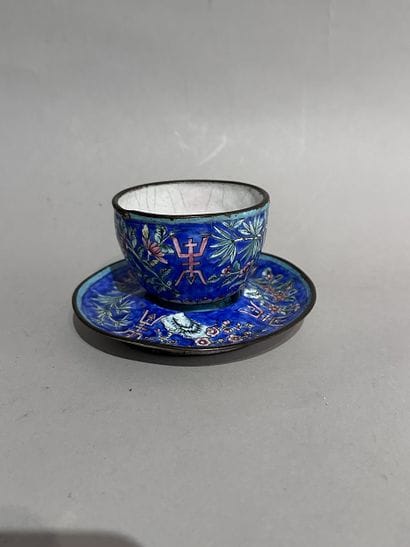 CHINE
TASSE et sous-tasse en porcelaine émaillée...