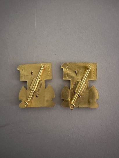 France
Lot de deux insignes 