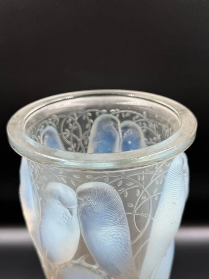 René LALIQUE (1860 – 1945)
Vase « Ceylan...