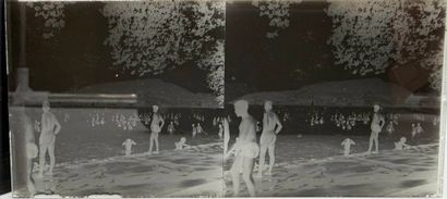 Photography, 1930-50's. From one or more...
