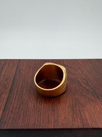 Ring in 18K (750) yellow gold
(eagle head)...