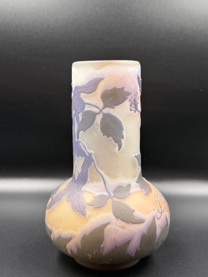 ETABLISSEMENTS GALLÉ (1904 – 1936)
Soliflore...
