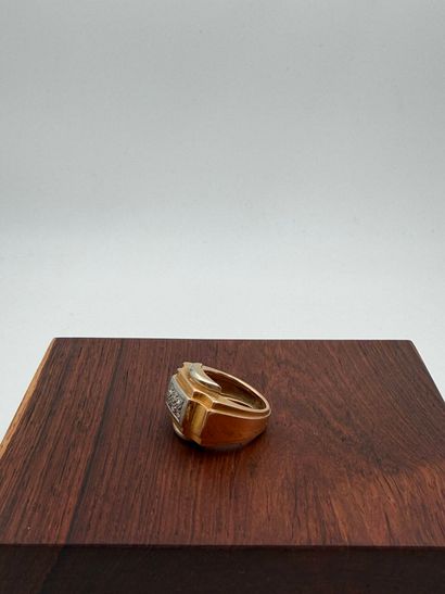 Ring in 18K (750) yellow and white gold
(eagle...
