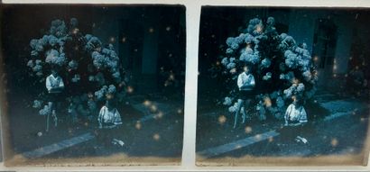 Photography, 1890-70's. From one or more...