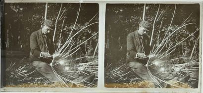 Photography, 1890-70's. From one or more...