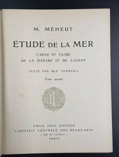 PILLARD-VERNEUIL (Maurice) - MEHEUT (Mathurin)
Etude...