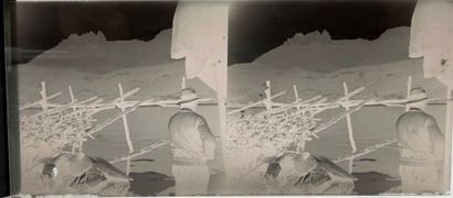 Photography, 1930-50's. From one or more...