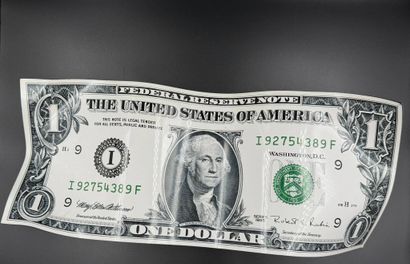 Karl Lagasse, né en 1981
One Dollar, 2013
PVC...