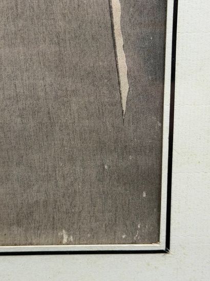 KOSON Ohara (1877-1945)
Otanzaku tate-e print.
Crow...