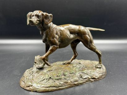 P.TIER
Le chien de chasse
Bronze à patine...