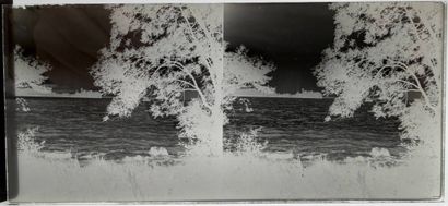 Photography, 1930-50's. From one or more...