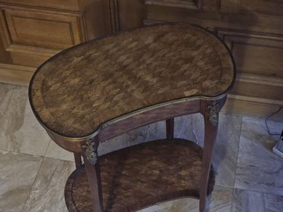 TABLE ROGNON dite 