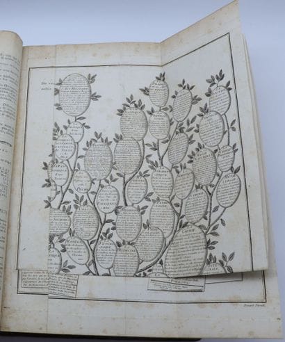 DICTIONNAIRE - ENCYCLOPEDIE - Ensemble de...