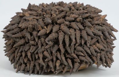 CAMEROON - FALLI people

Headdress, made...
