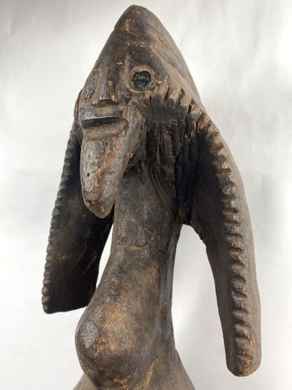 NIGERIA - MUMUYE People

Large and spectacular...