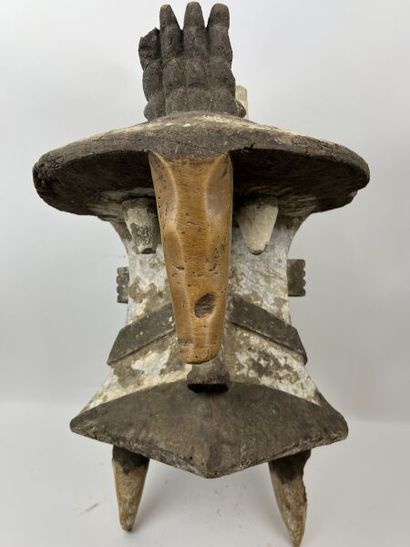 NIGERIA - IGBO IZZI People

Large elephant...