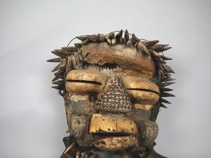 COTE D'IVOIRE - WE people

Cynocephalic mask...
