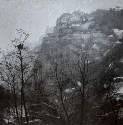 Yang CHENG (1974)

