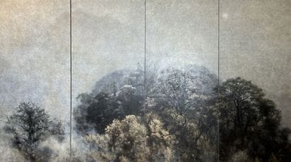 Yang CHENG (1974) 

