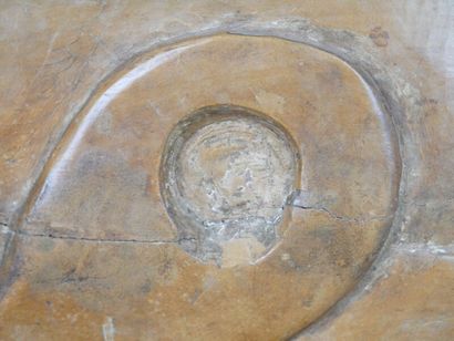 COTE D 'IVOIRE - ASHANTI people

Curved seat...