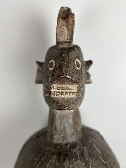 NIGERIA - MUMUYE people

Shoulder mask, carved...
