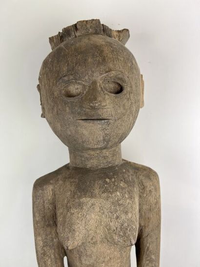 NIGERIA - TIV People

Female IHAMBE statue...