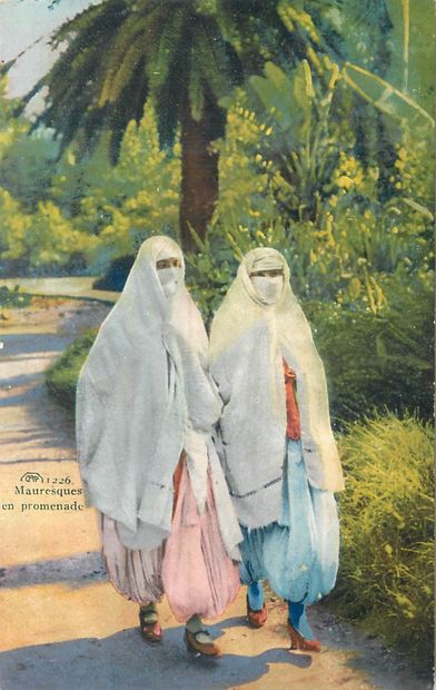 67 CARTES POSTALES AFRIQUE DU NORD : Algérie-22cp,...