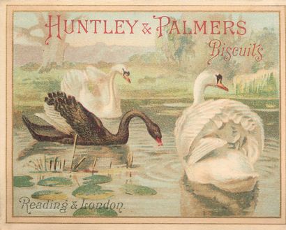 55 CHROMOS : Huntley & Palmers Biscuits....