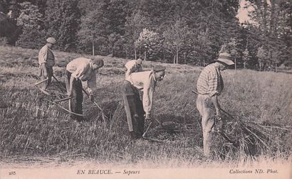 7 CARTES POSTALES EN BEAUCE : Éditeur ND...