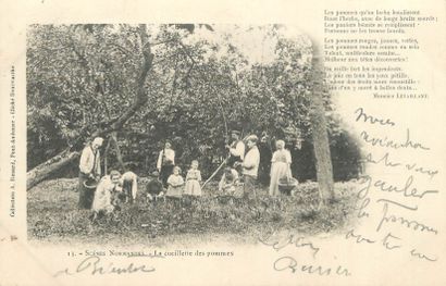 21 CARTES POSTALES VARIA : 5cp-Aviation,...