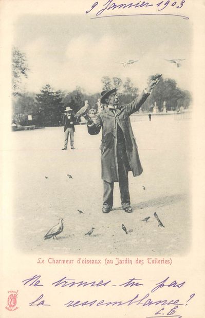 21 CARTES POSTALES VARIA : 5cp-Aviation,...