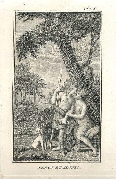 16 Lithographies - Métamorphoses d'Ovide.
La...