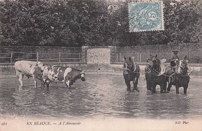 7 CARTES POSTALES EN BEAUCE : Éditeur ND...