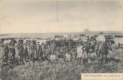 73 CARTES POSTALES AMERIQUE DU SUD : 63cp-Argentine,...