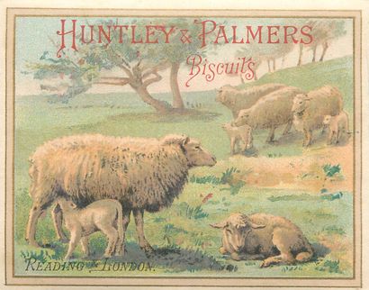 55 CHROMOS : Huntley & Palmers Biscuits....